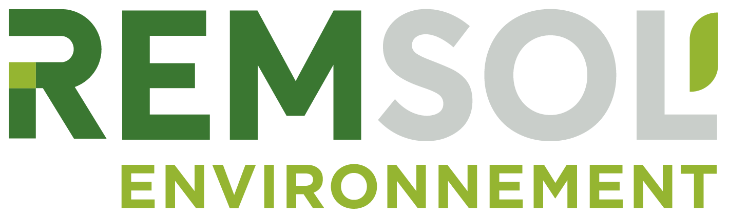 REMSOL